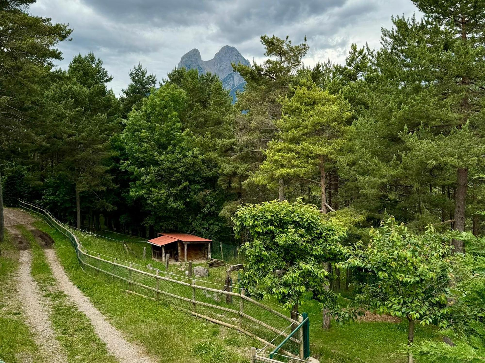 Cal Roig - Pedraforca Villa Saldés Dış mekan fotoğraf
